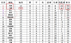 B体育-马赛大举反击，法甲积分榜位置稳固